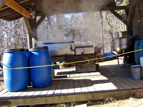 Maple syrup - boiling the sap
