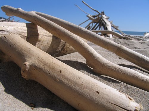 Driftwood (collection)