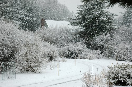 Early Spring Snow Fall