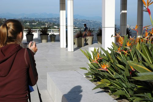 Getty Terrace (with hummingbird photographer)