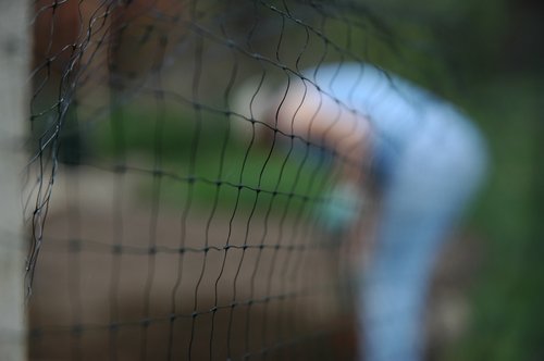 Deer Proof Fence (Inside the)