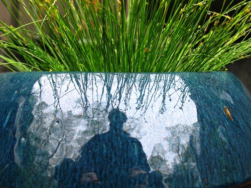 Self reflected