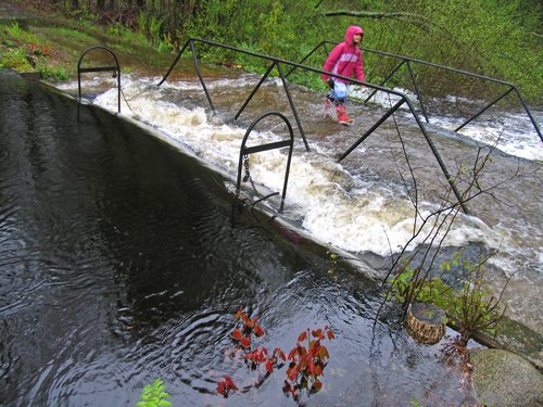 Running through the Flood