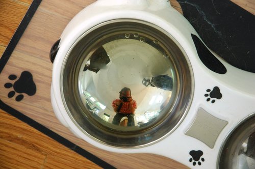 Reflected