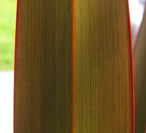 Leaf Lines