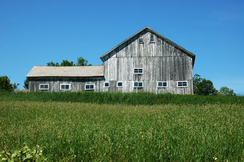 Hilltop Barn (detail)