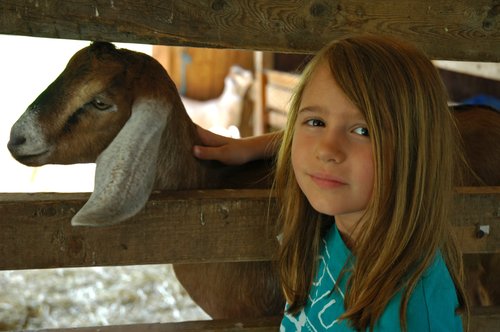 Loves Goats