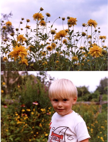 1991-Steven-Garden