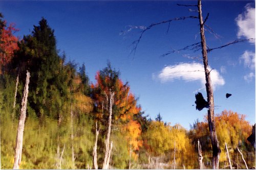 1997-Reflected-Pond-Landscape-1