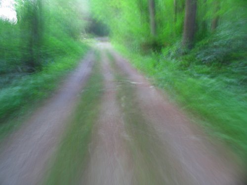 Path to the Bridge