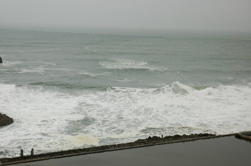 DSC_0428