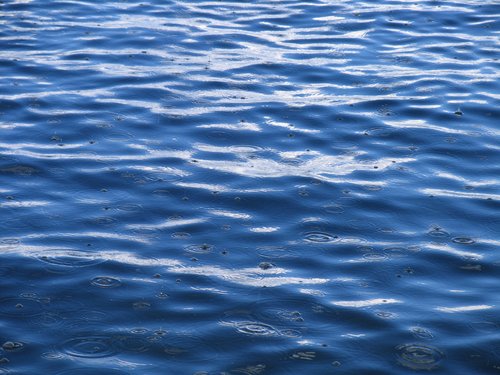 Rain on Jenny Lake