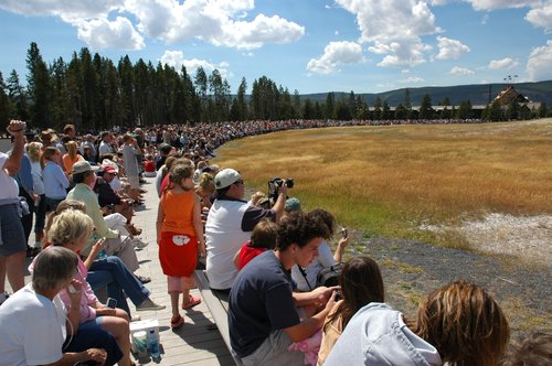 The Audience