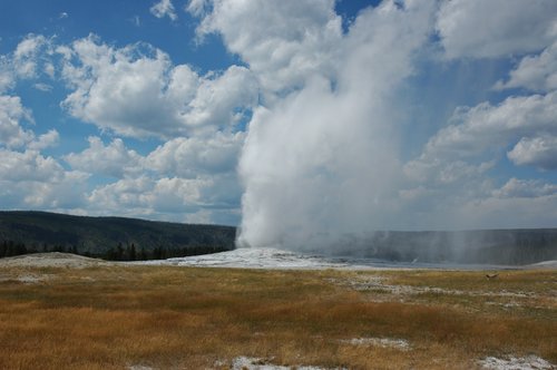 Old Faithful