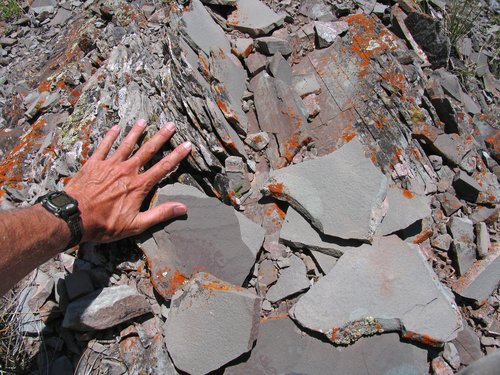 Exposed Shale Strata