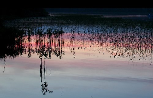 Great Pond Sunset (Detail)