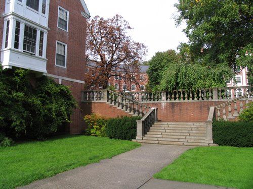 Views of The Quad