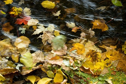 DSC_4145_ACR
