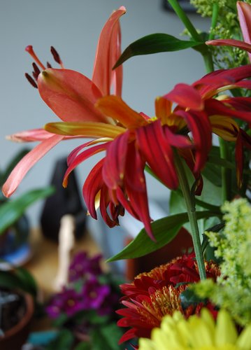 Focus on Color (Nikon CNX processed)