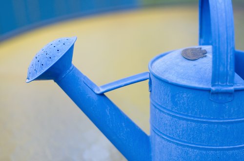 Blue Watering Can