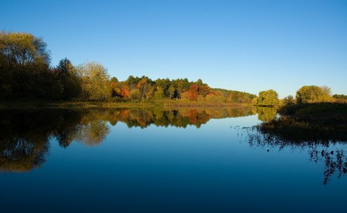 Sudbury River (Autumn morning)