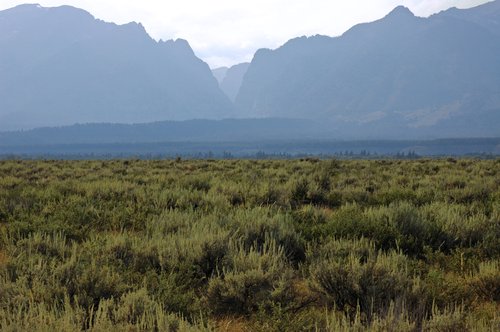 Late Afternoon in the Tetons