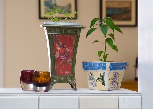 D200 Raw Format Test Image