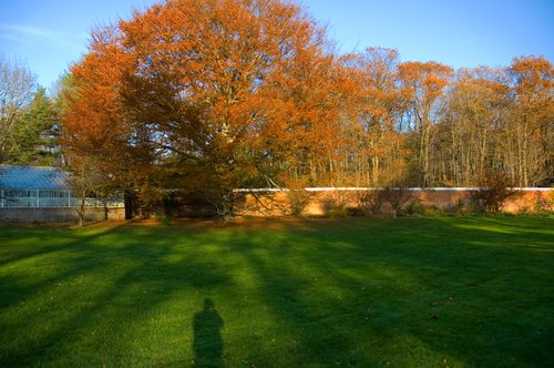 The back lawn at Lyman Estate