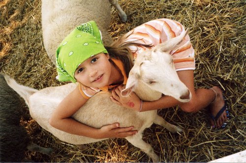 Loves Goats 2