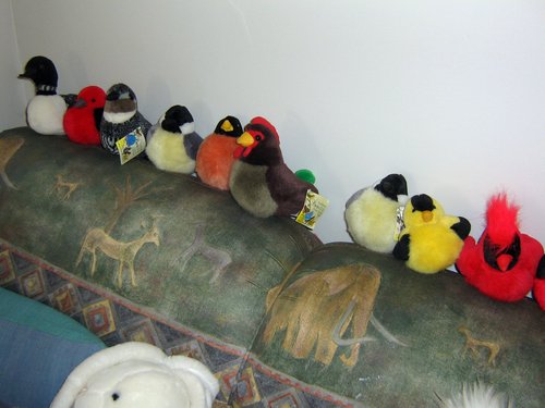 Bird Sale