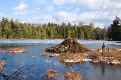 Big Beaver Lodge (at Mud Pond)