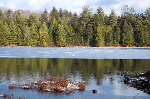 Winter Reflection