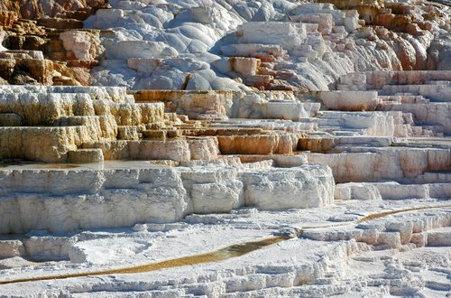 Terraces at Mammoth Hot Springs