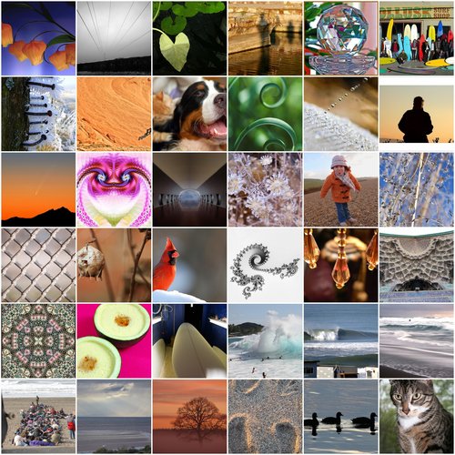 Friday Favorites - January 19, 2007