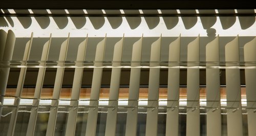 Study in Light and Shadow