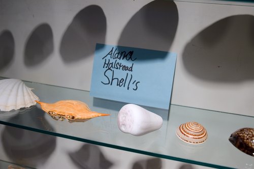 Alana's Shells (Detail)
