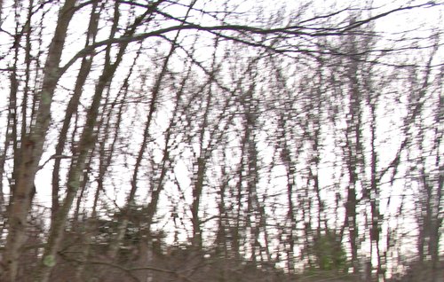 Fast Trees (Running Dog Remix)