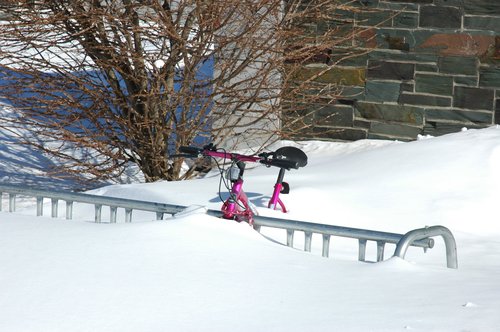 Pink Bicycle
