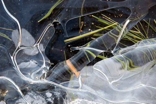 Debris Under Clear Ice