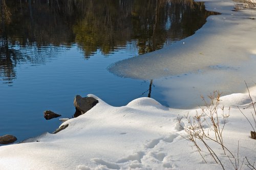 Late Winter Pond