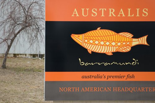 Barramundi - Sustainable Aquaculture