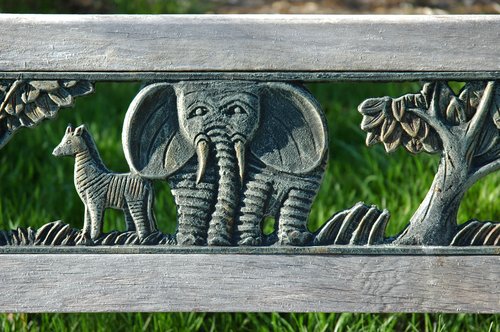Elephant and Zebra
