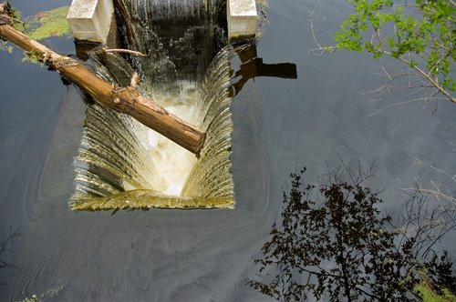 Pond Drain Still Life