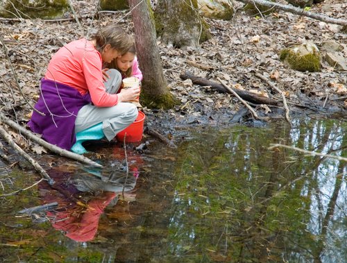 Looking for Tadpoles