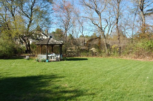 Fresh Cut Grass