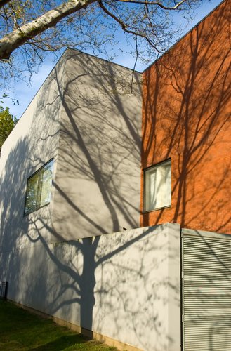 Tree Shadows