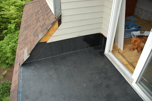 Ringer inspects the new roof