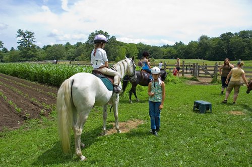 Matlock Farm Camp