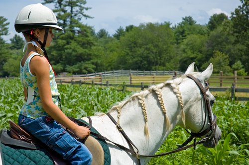 Riding Merlin