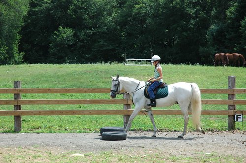 Riding Merlin in the Ring